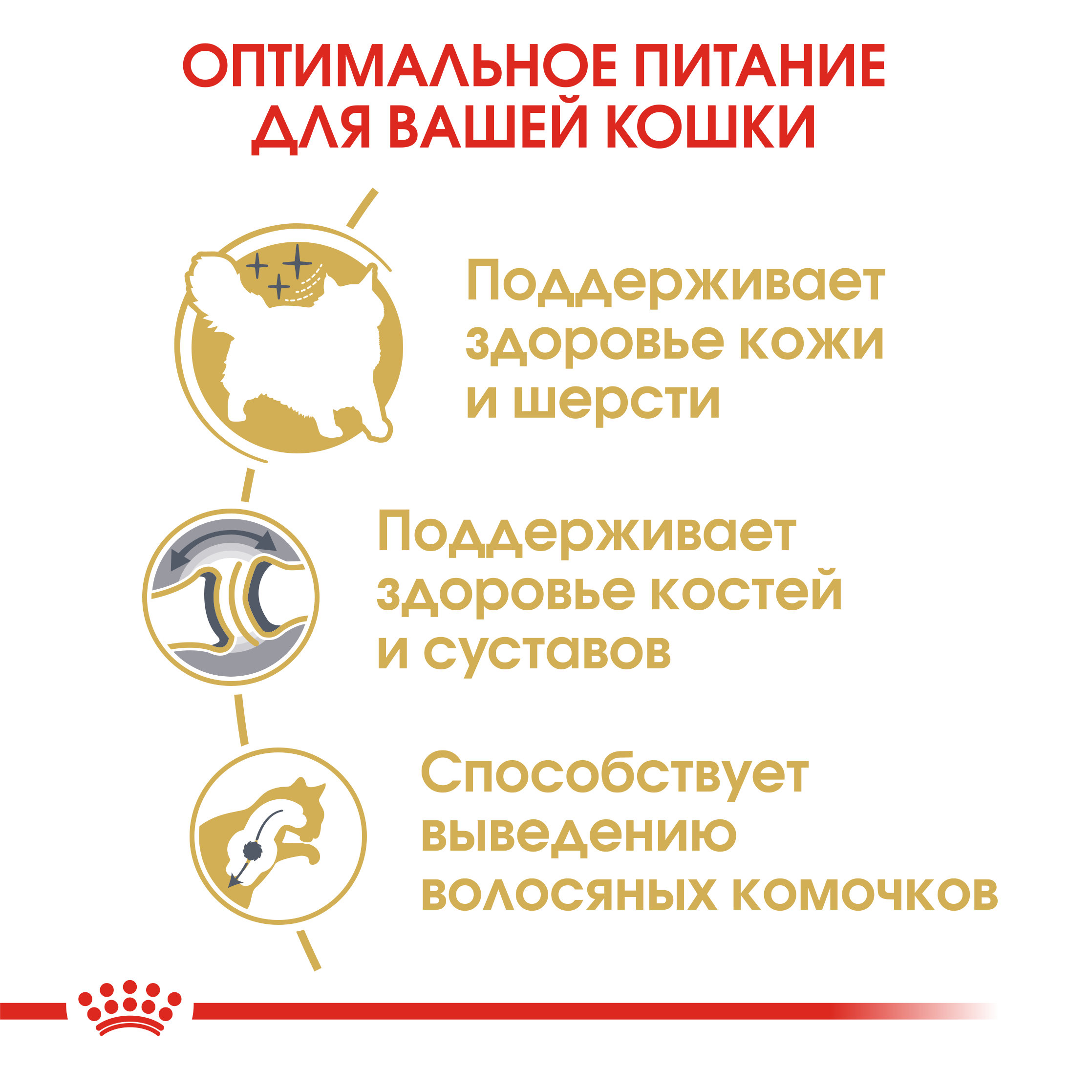 Сухой корм для кошек ROYAL CANIN 0.4 кг (полнорационный) - фото 6