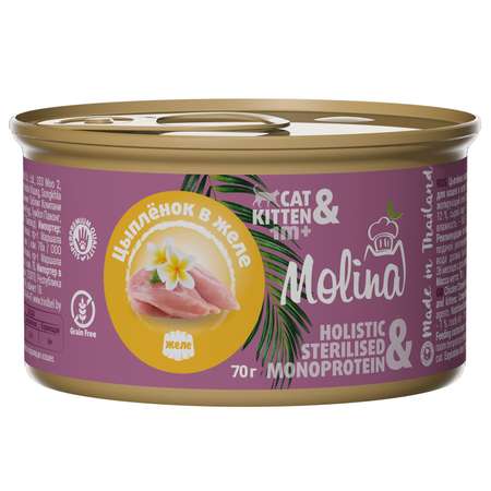 Корм для кошек и котят Molina цыпленок в желе консервы 70г