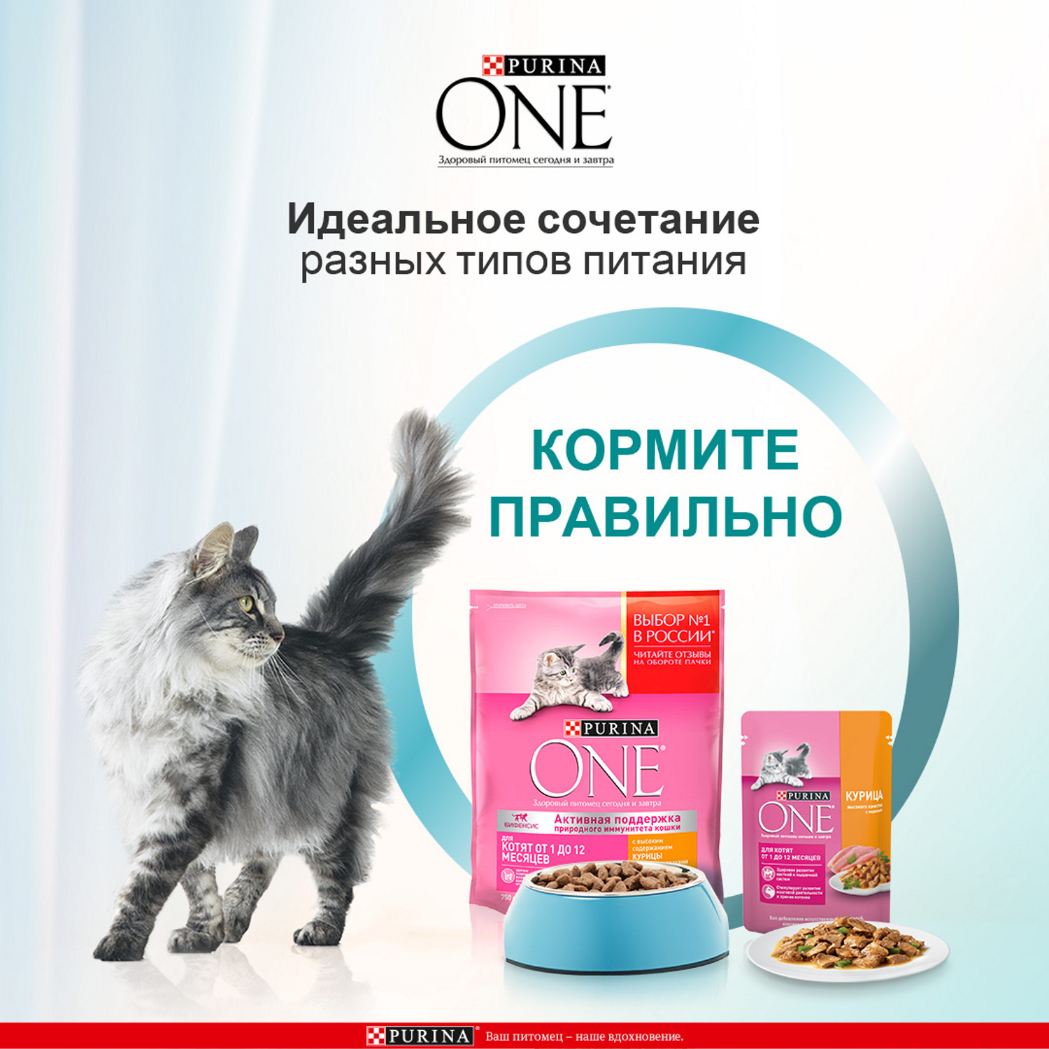 Корм для котят Purina One курица-морковь 75г - фото 5