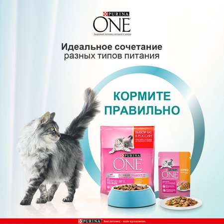 Корм для котят Purina One курица-морковь 75г