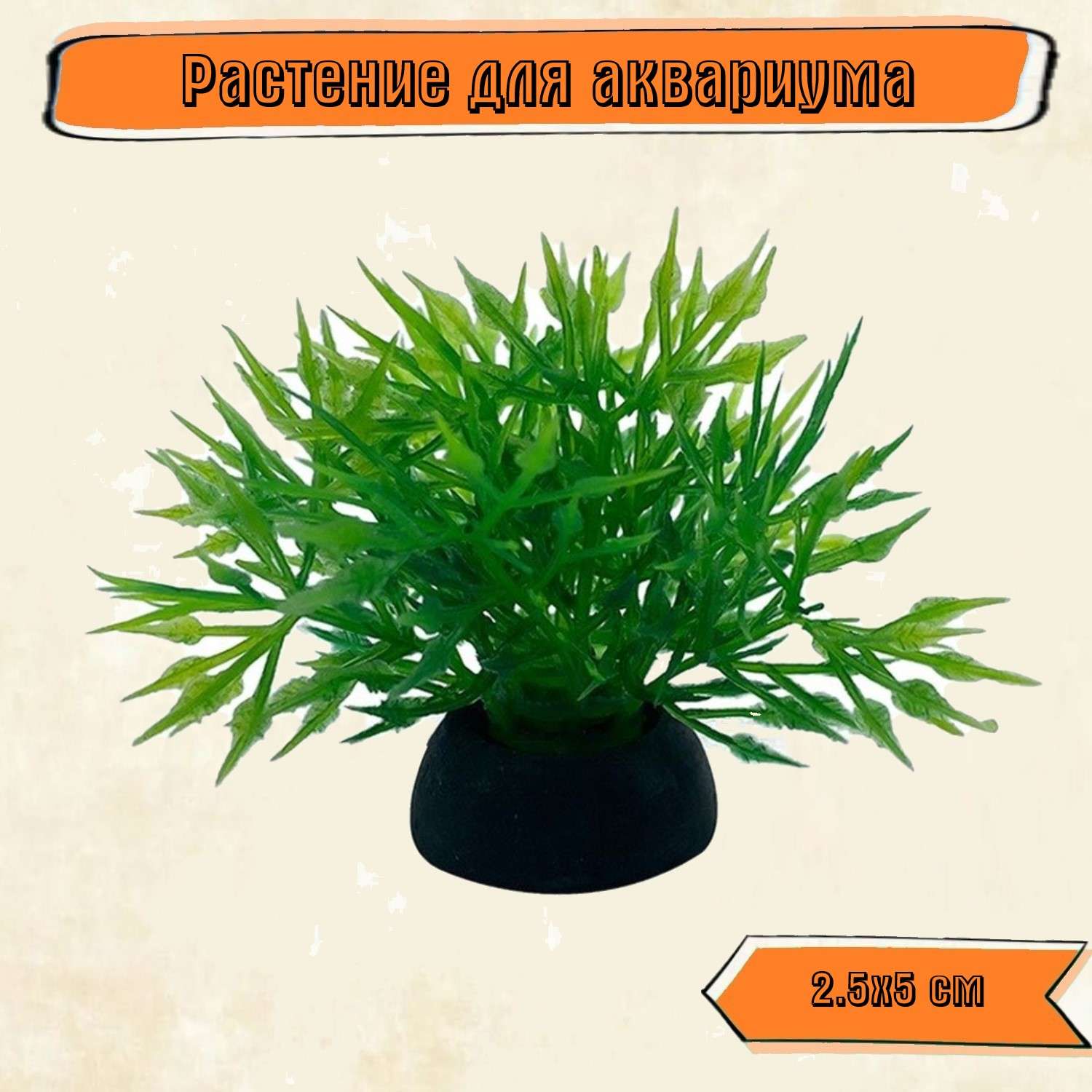 Аквариумное растение Rabizy кустик 2.5х5 см - фото 1