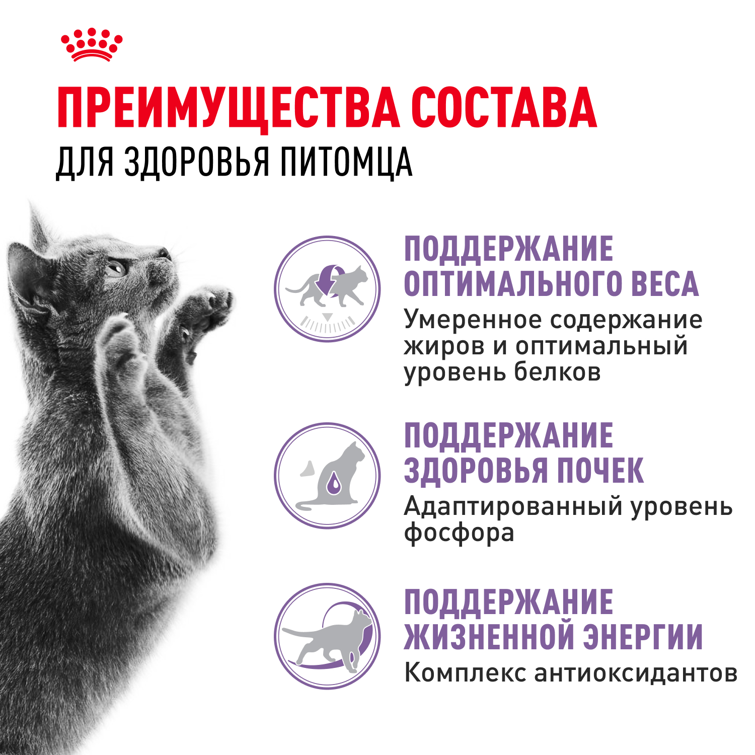 Корм сухой для кошек ROYAL CANIN Sterilised 400г пожилых стерилизованных - фото 7