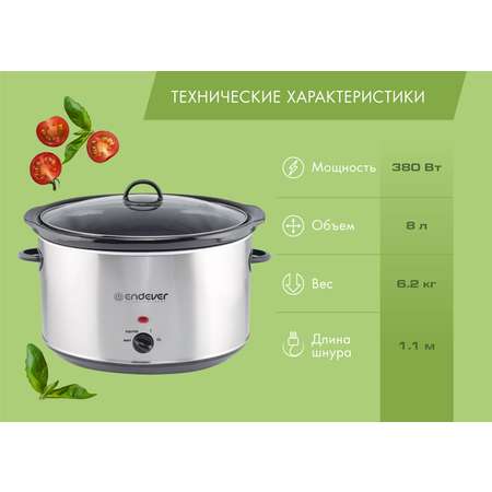 Медленноварка ENDEVER VITA-113