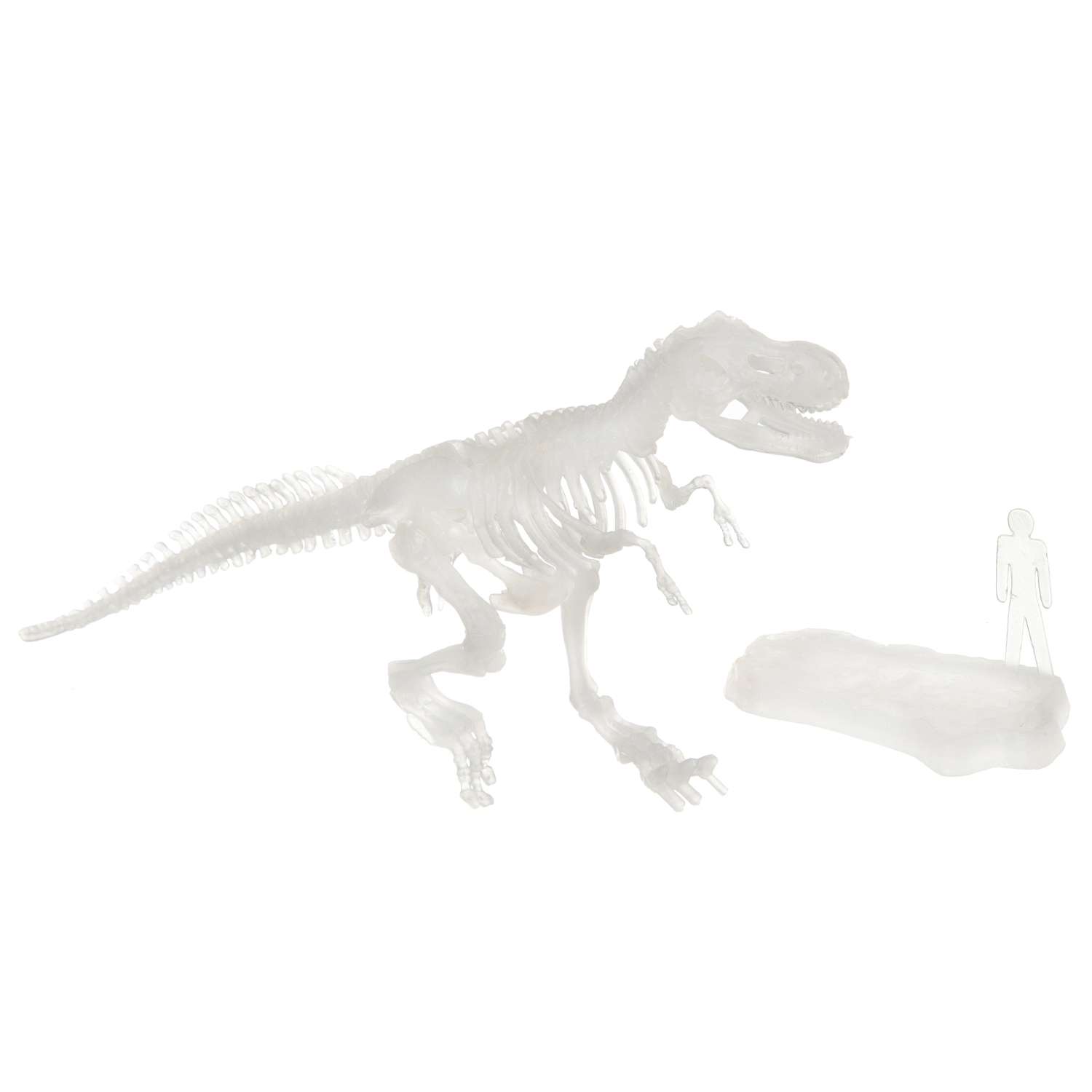 Набор раскопки Bondibon Науки с Буки Тираннозавр светящийся в темноте ВВ4206 - фото 4