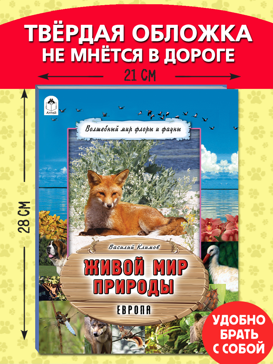 Книга Алтей Живой мир природы. Европа - фото 5