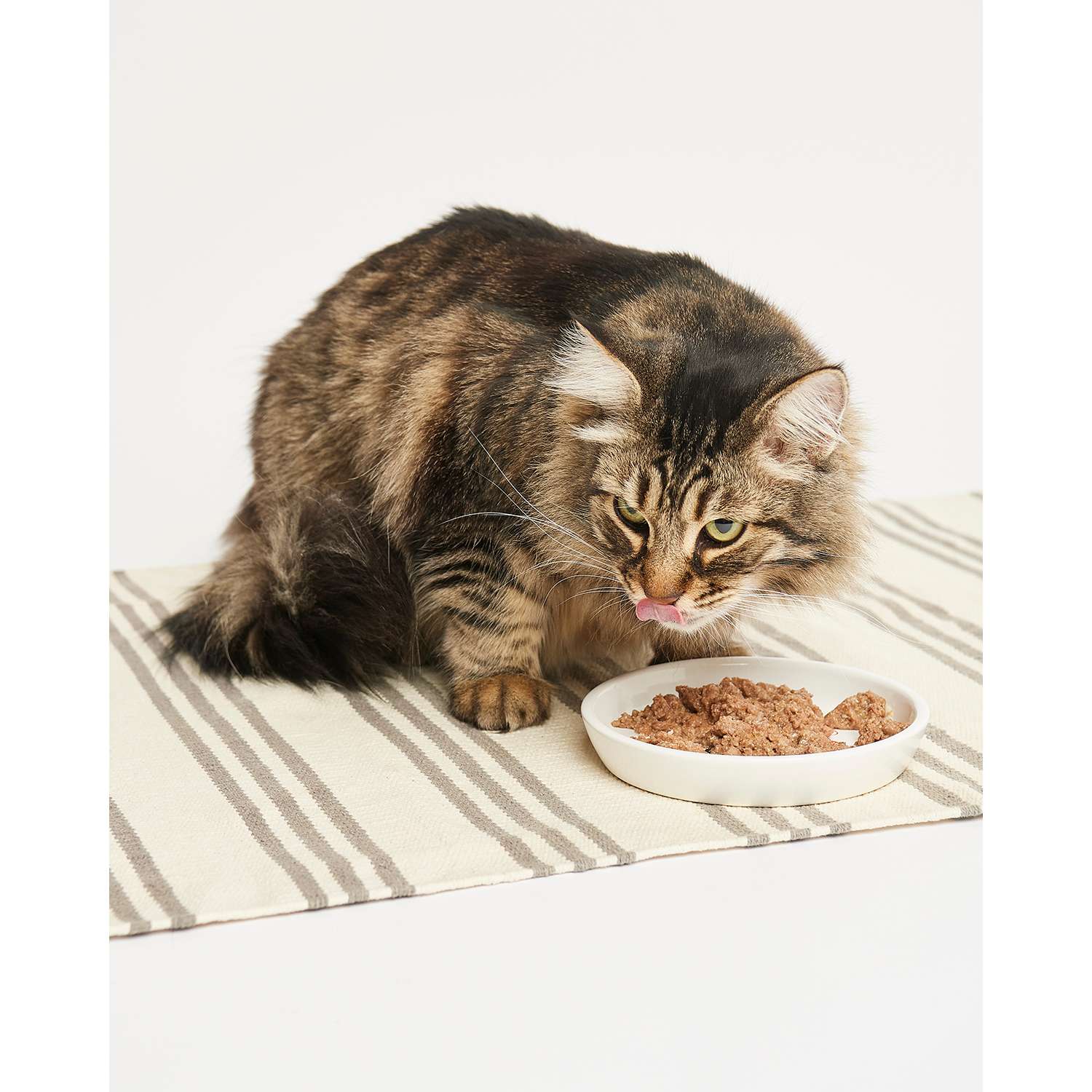 Корм для кошек Harty 100г паштет с говядиной для стерилизованных консервированный - фото 4