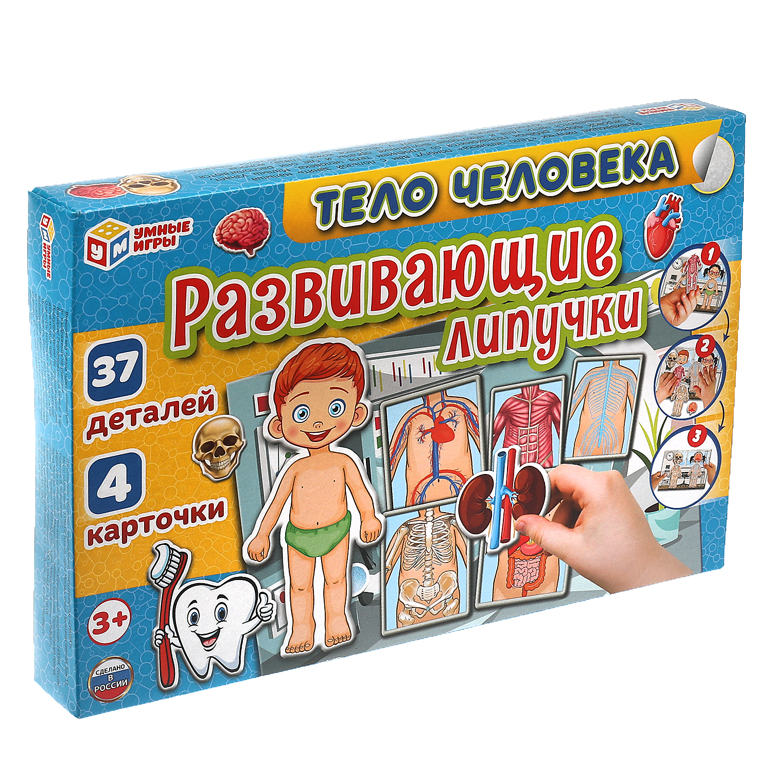 Настольная игра Умные игры Тело человека - фото 5