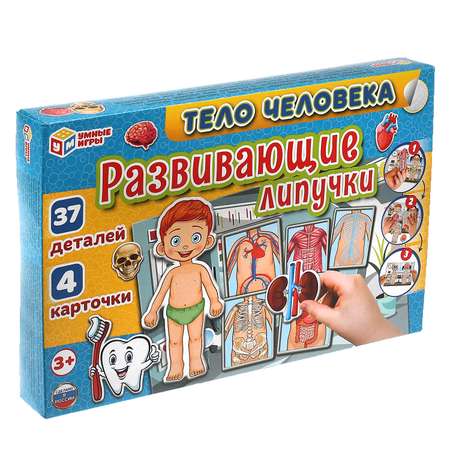 Настольная игра Умные игры Тело человека