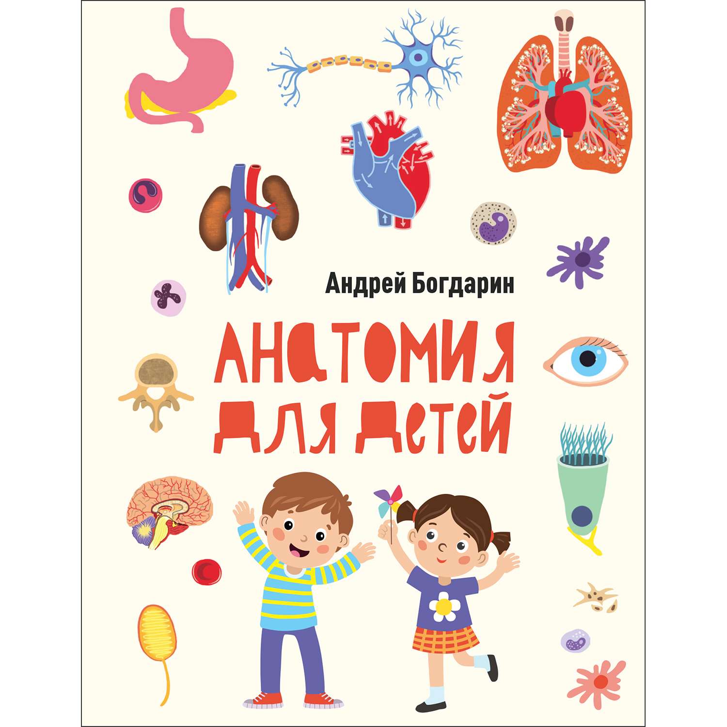 Книга Анатомия для детей - фото 1