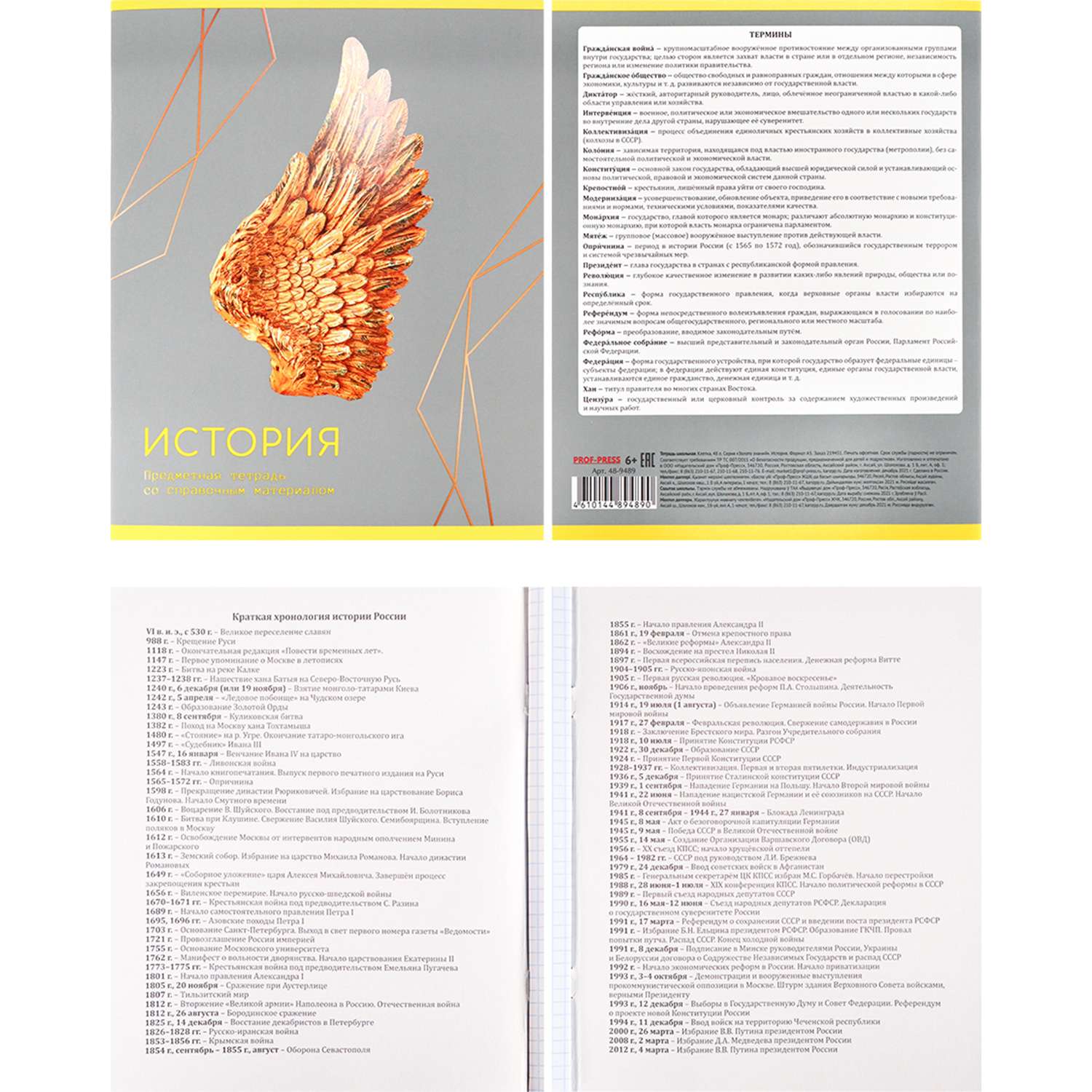 Набор предметных тетрадей Prof-Press Золото знаний 48 листов 12 тетрадей - фото 12