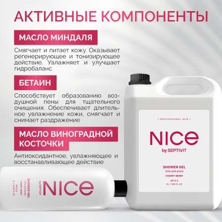 Гель для душа NICE by Septivit Cherry Berry 5л