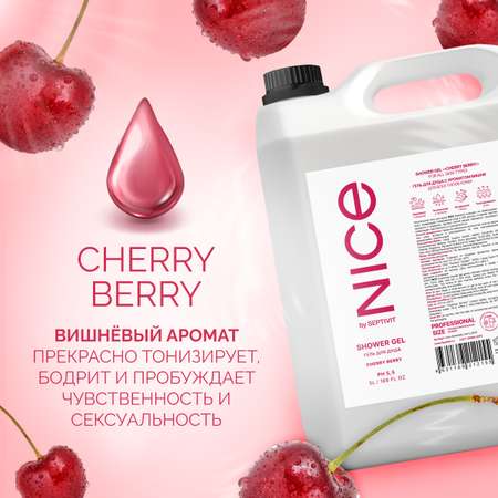 Гель для душа NICE by Septivit Cherry Berry 5л