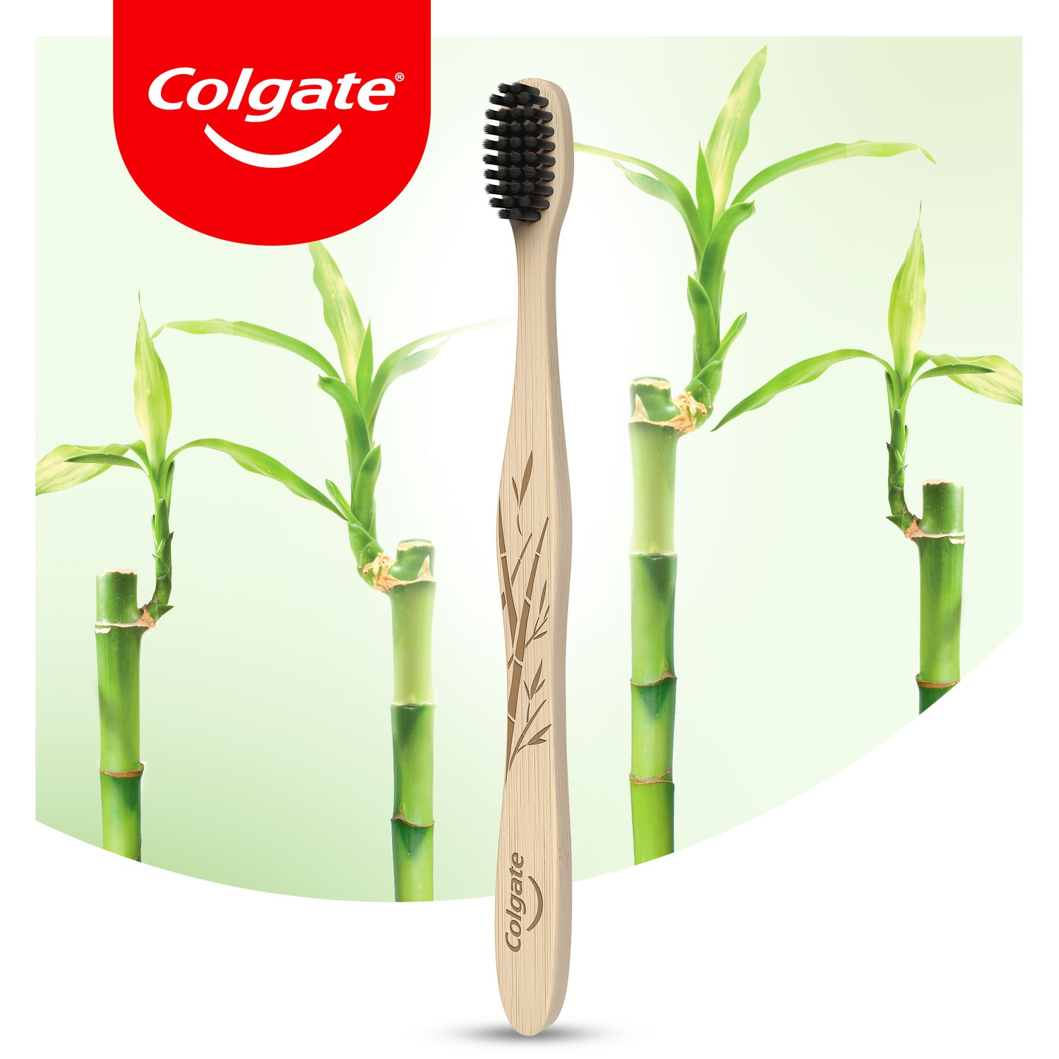 Зубная щетка Colgate Бамбук Древесный уголь в ассортименте CN08010A - фото 8