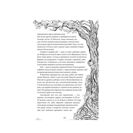 Книга АСТ Магия леса. Секреты общения с деревьями