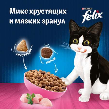 Корм для котят Felix Двойная вкуснятина курица 600г