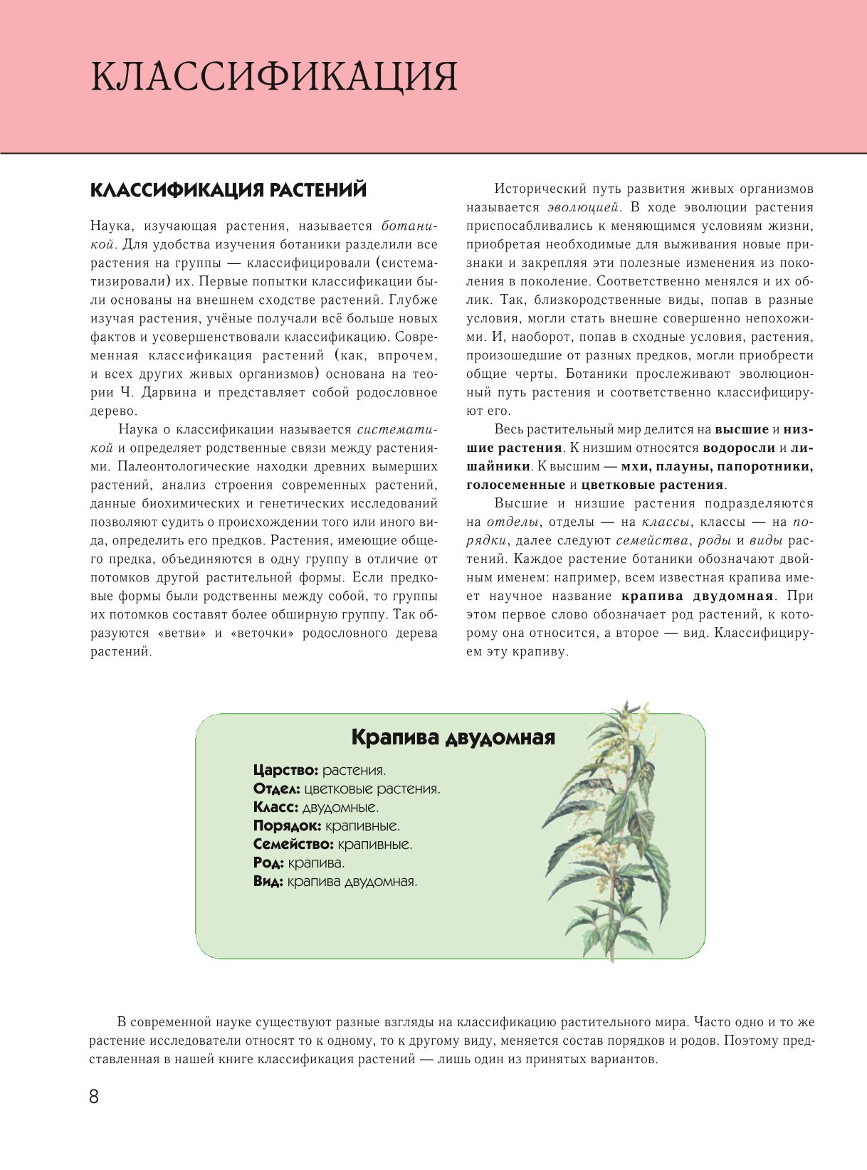 Энциклопедия ЭКСМО-ПРЕСС Растения Полная энциклопедия - фото 6