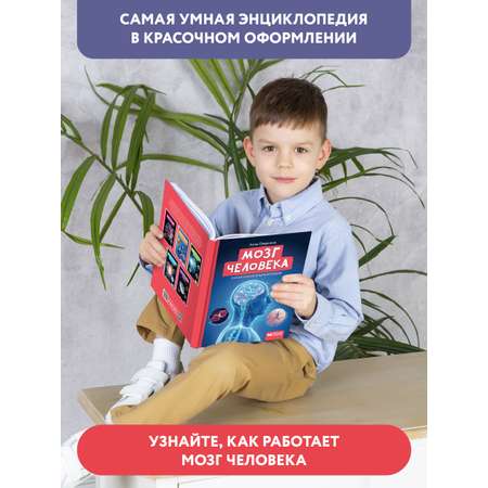 Книга Феникс Мозг человека. Самая умная энциклопедия