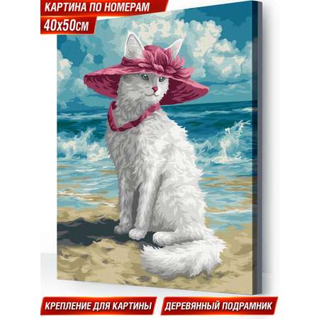 Картина по номерам Hobby Paint холст на деревянном подрамнике 40х50 см Кошка в шляпе