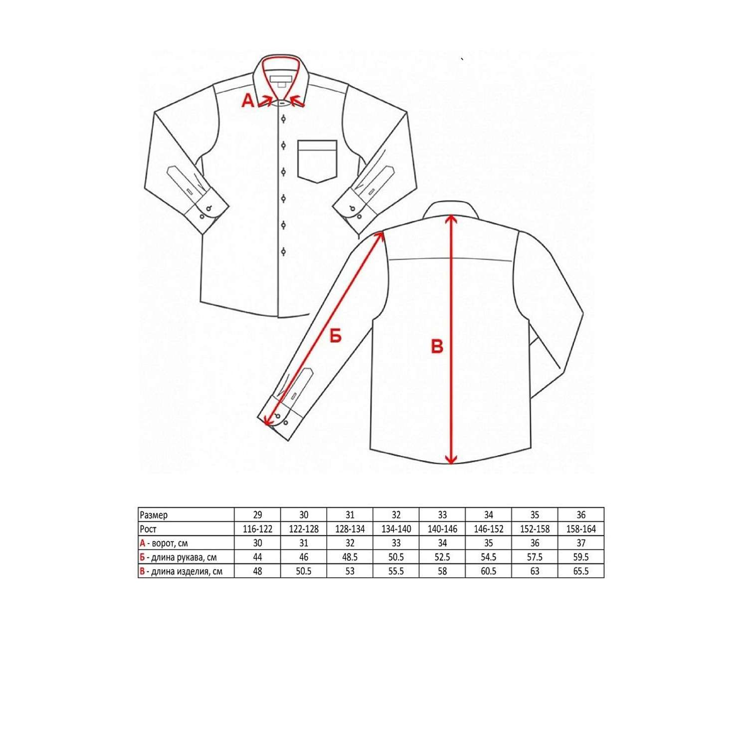 Рубашка WESTHERO TQ-0113(TQ-0112)D/M - фото 8