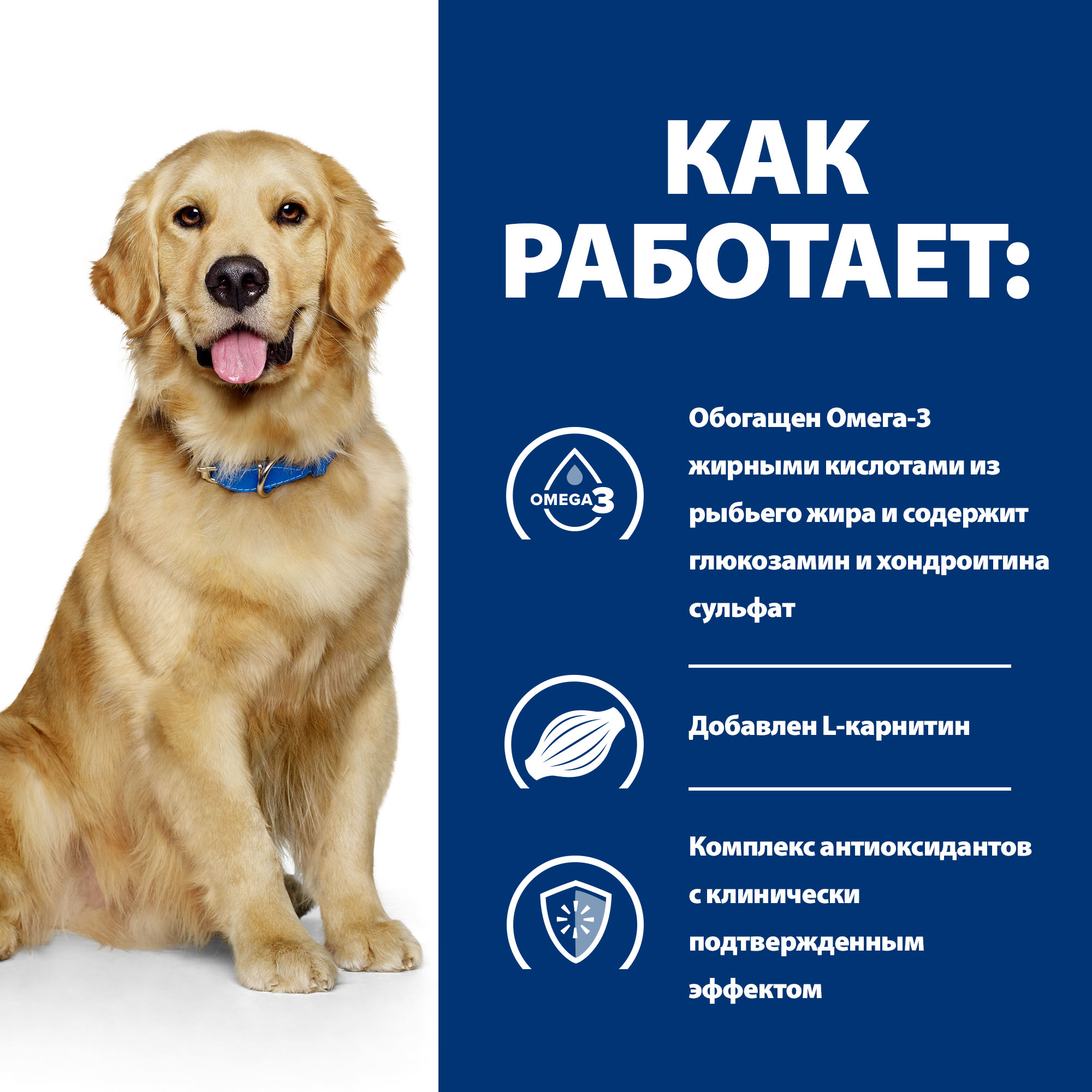 Корм для собак HILLS 12кг Prescription Diet j/d Joint Care для здоровья суставов с курицей сухой - фото 4