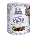 Лакомство для котят Brit Care Super Fruits Курица 100г