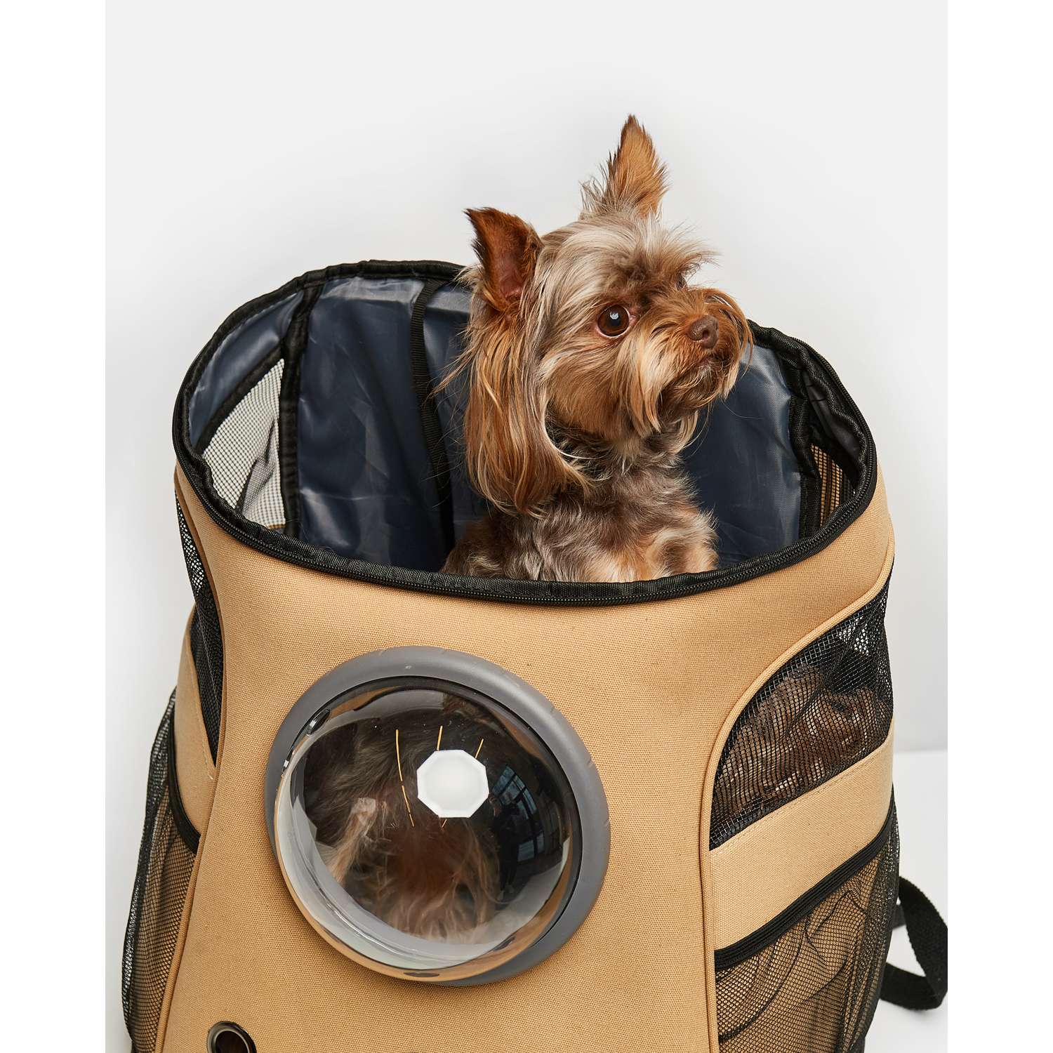 Переноска-рюкзак для собак Зоозавр OS Бежевый SS22PCA17 - фото 6