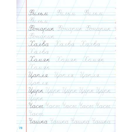 Универсальный тренажер Книжный дом Станислав Петренко: Вырабатываем красивый почерк