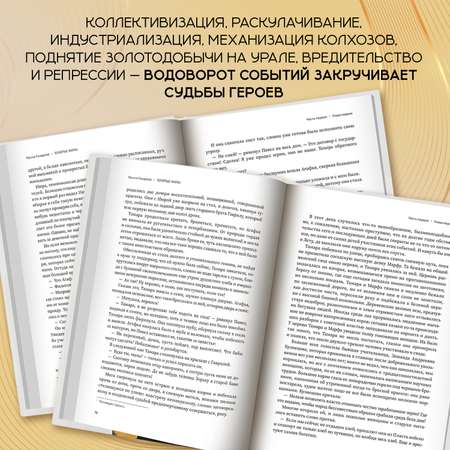 Книга Феникс Книга Золотые жилы роман