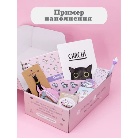 Подарочный бокс для девочки iLikeGift котик