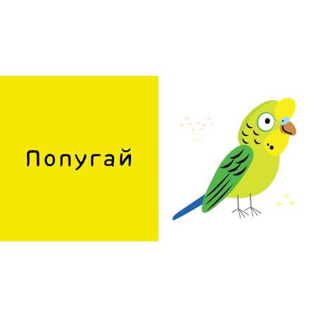 Книга развивающая Clever 9 книжек-кубиков (нов). Книжки-кубики для девочек 584