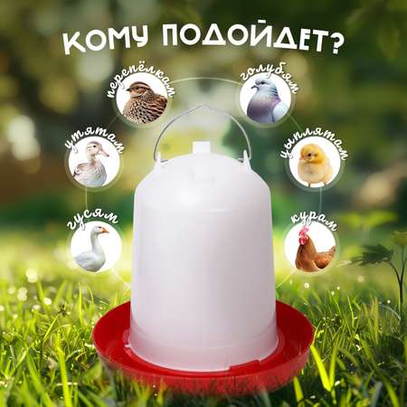 Поилка для домашней птицы Mellingward 8 л