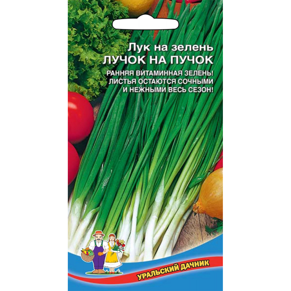 Семена уральский дачник Лук на зелень Лучок на пучок купить по цене 12 ₽ в  интернет-магазине Детский мир