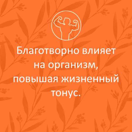 Сироп имбирный ФИТА-ВИТА-МИКС Премиум с куркумой и пиперином 290 мл