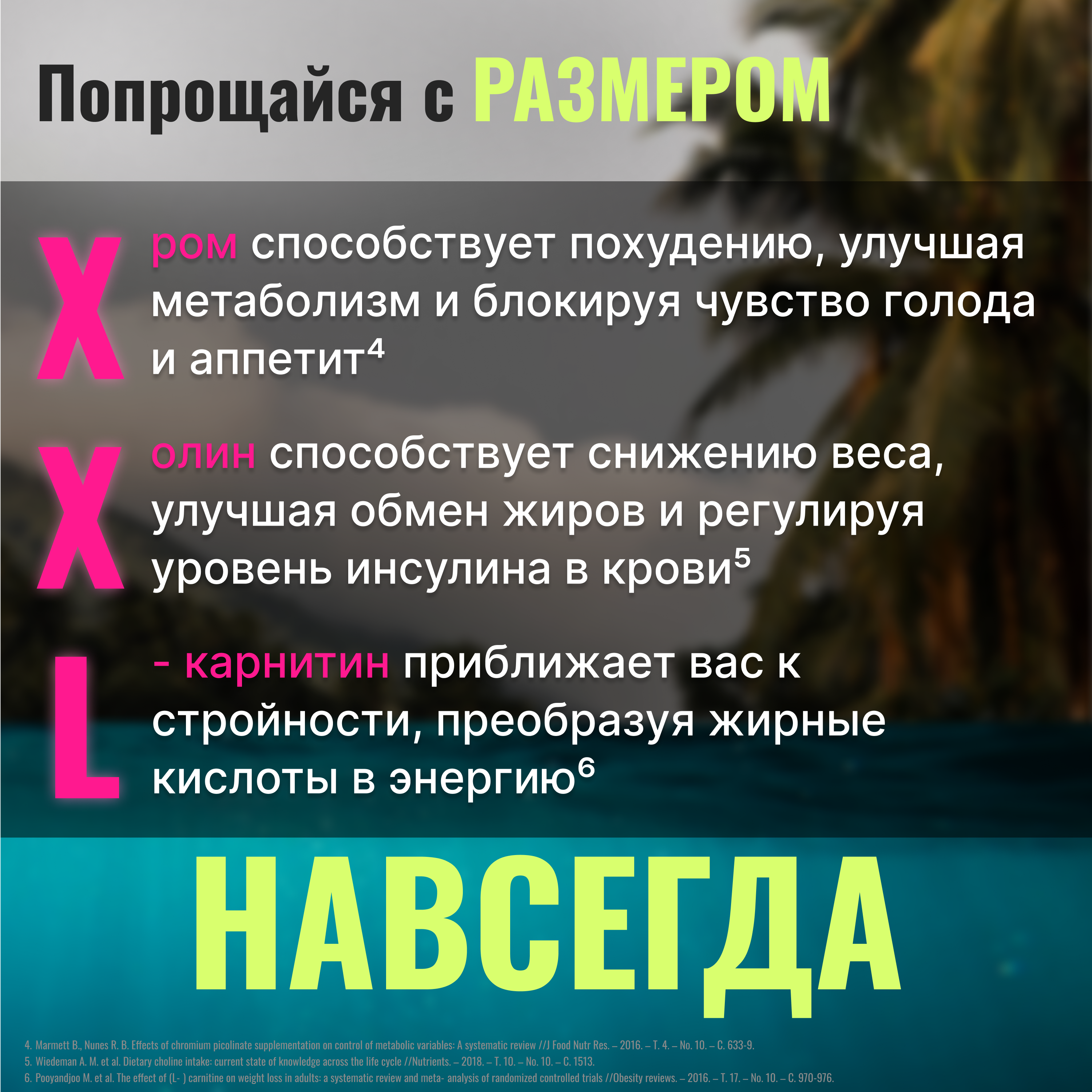 Жиросжигатель для контроля аппетита/ Доктор Море похудения/ снижения веса/ L-карнитин 60 капсул - фото 4