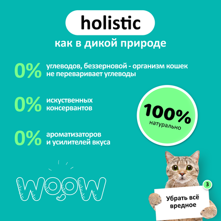 Влажный корм для кошек WOOW цыплёнок нежный 12 шт