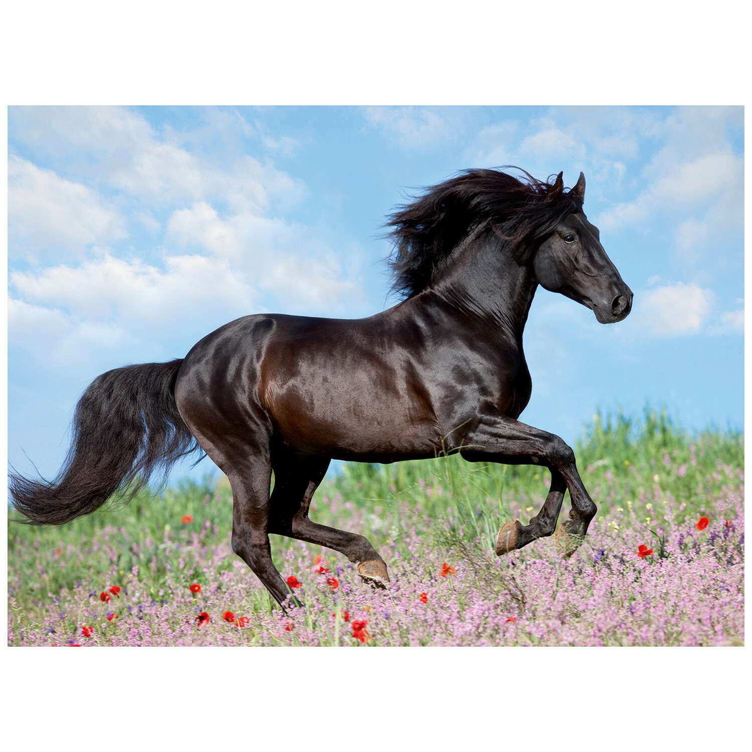 Пазл Ravensburger Прекрасная лошадь 200элементов 12803 - фото 2