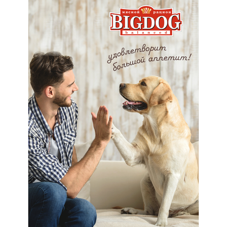 Корм влажный Зоогурман Big Dog Мясное ассорти 850 г х 6 шт