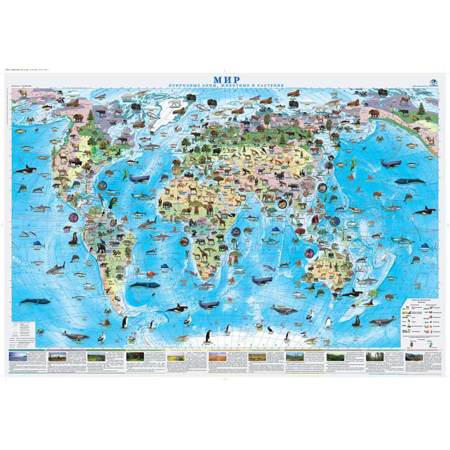 Карта настенная Атлас Принт Мир. Природные зоны. Животные и растения 1.0x0.7 м - фото 1