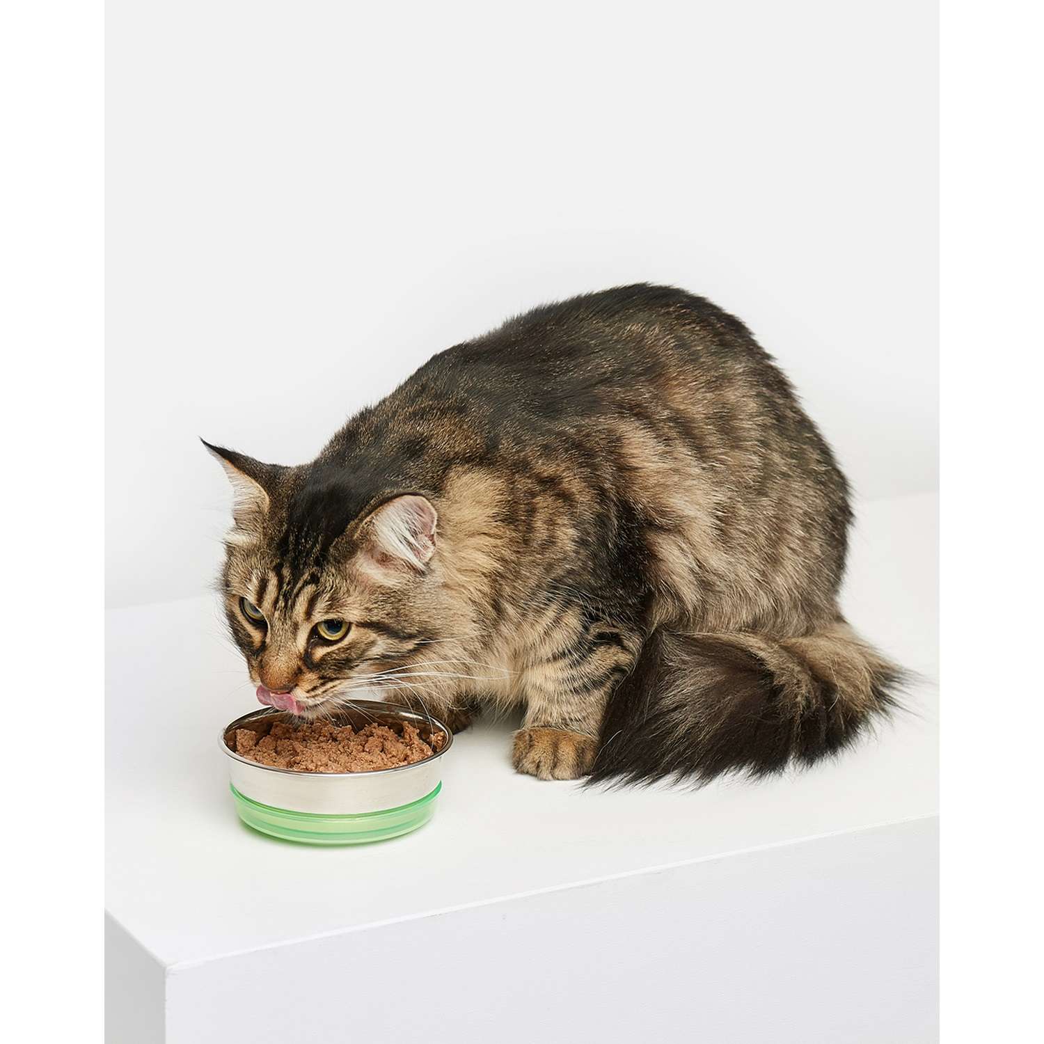 Корм для кошек Carnica 100г паштет из ягненка для здоровья мочевыделительной системы консервированный - фото 3