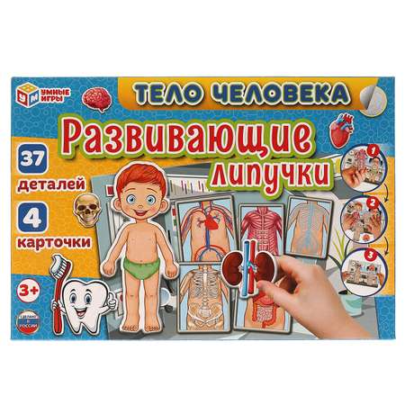 Настольная игра Умные игры Тело человека