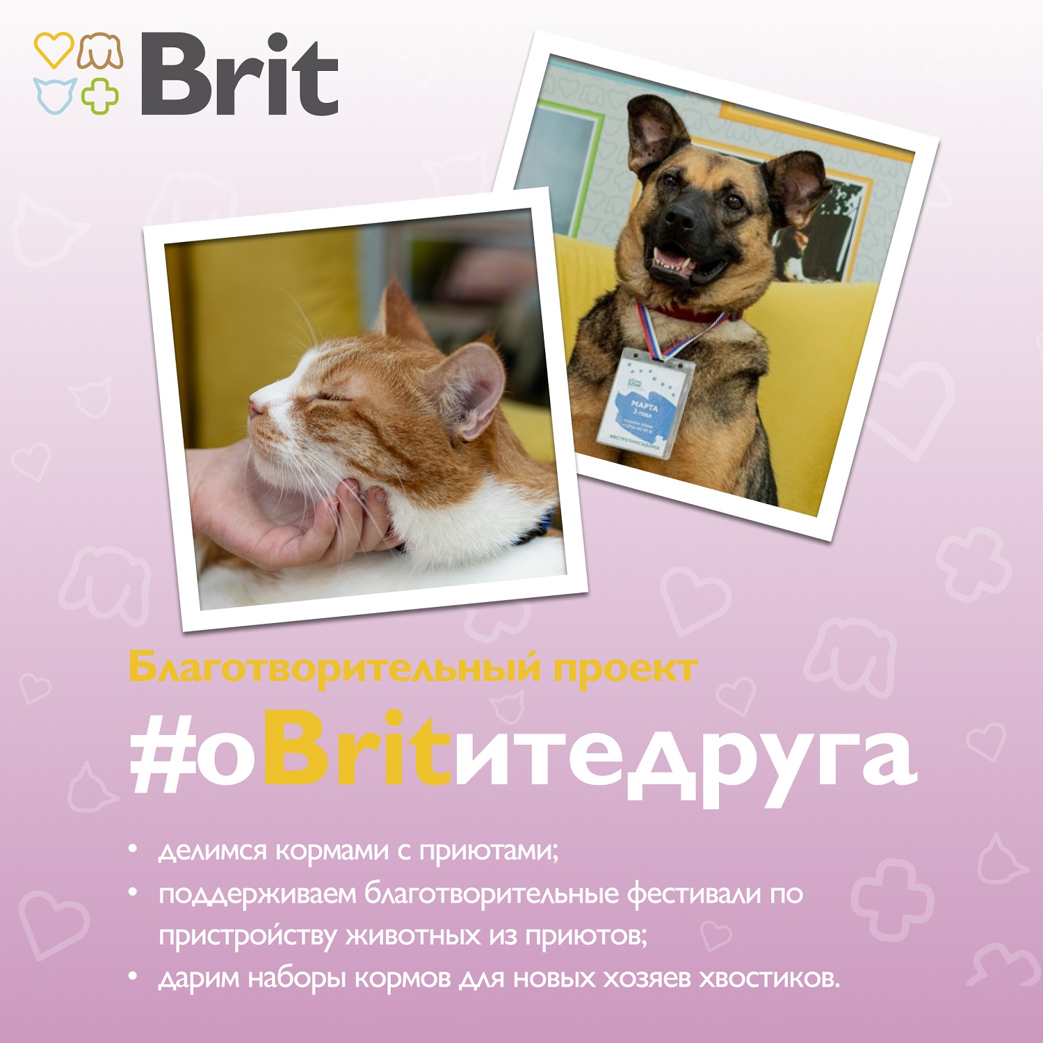 Влажный корм для кошек Brit Starter 0.1 кг индейка (полнорационный) - фото 8