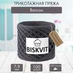 Трикотажная пряжа BISKVIT Ватсон