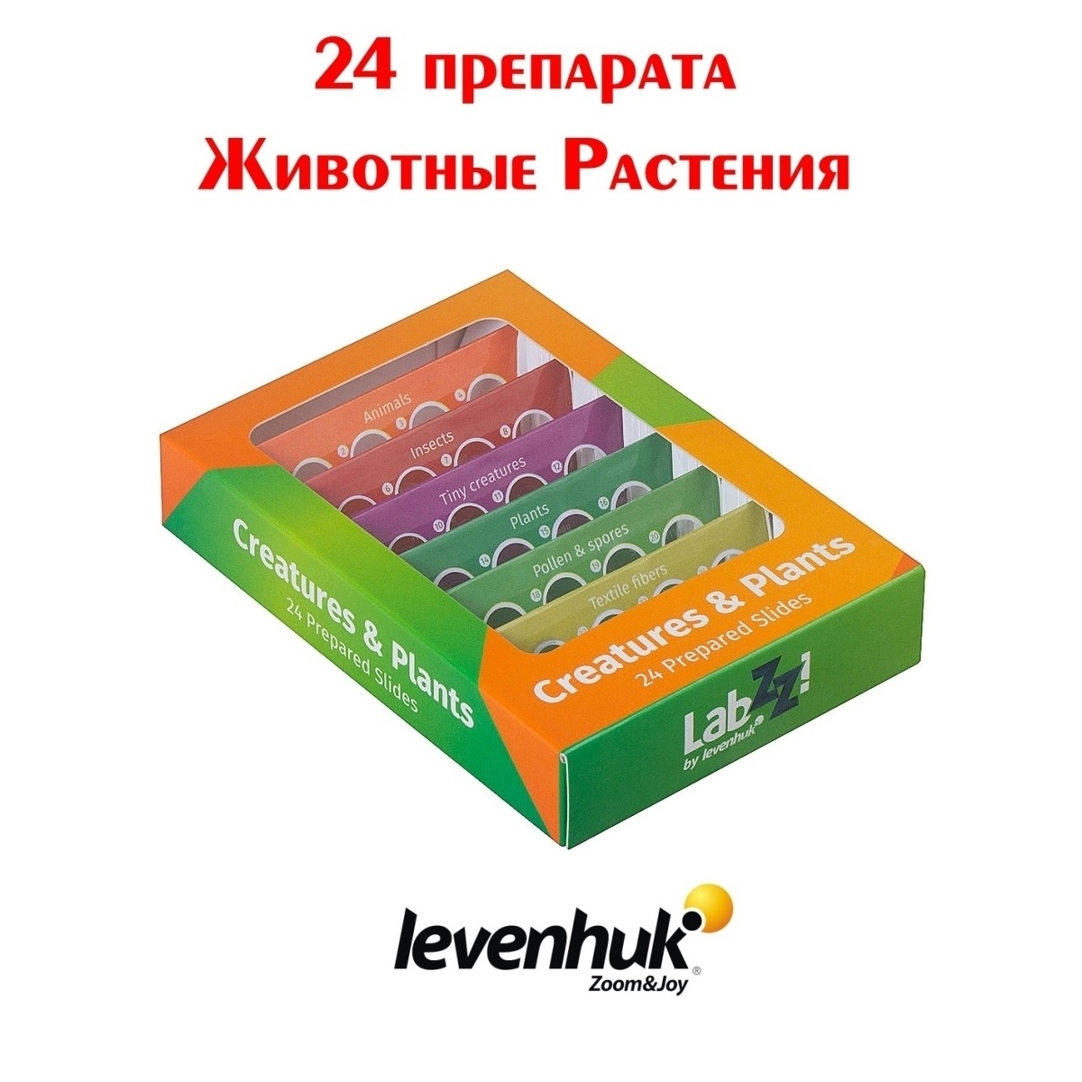 Набор препаратов Levenhuk LabZZ CP24 для микроскопа. Существа и растения - фото 2