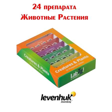 Набор препаратов Levenhuk LabZZ CP24 для микроскопа. Существа и растения