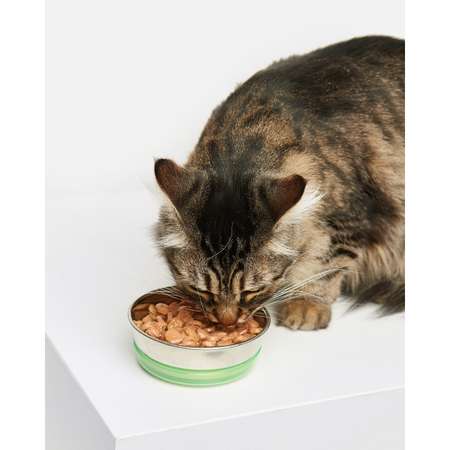 Корм для кошек Carnica 85г с индейкой для поддержания веса кусочки в соусе консервированный