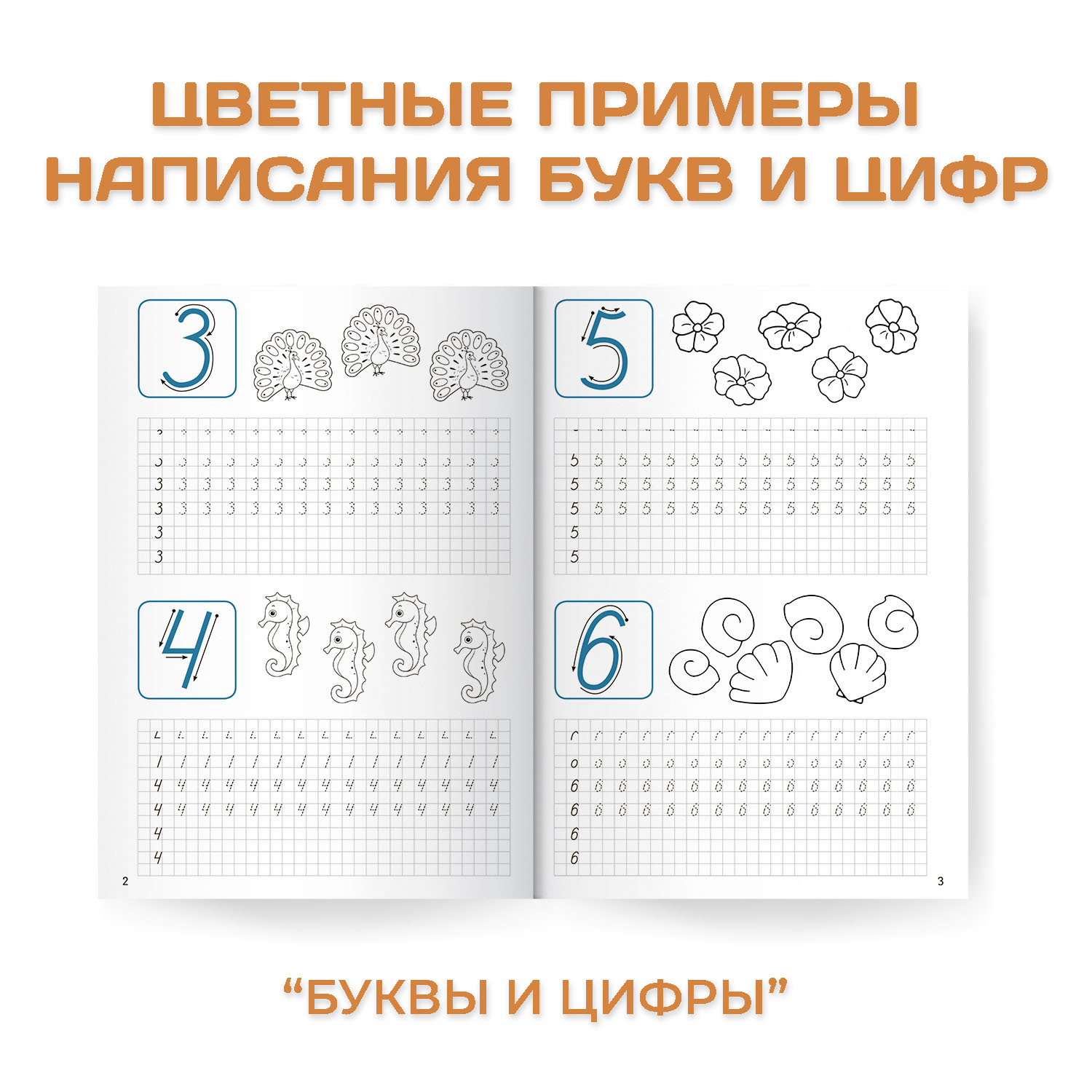 Прописи Проф-Пресс для хорошего почерка в комплекте из 4 шт А4 по 8 листов - фото 2