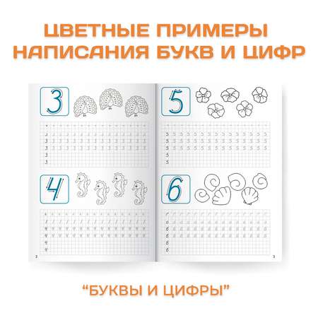 Прописи Проф-Пресс для хорошего почерка в комплекте из 4 шт А4 по 8 листов