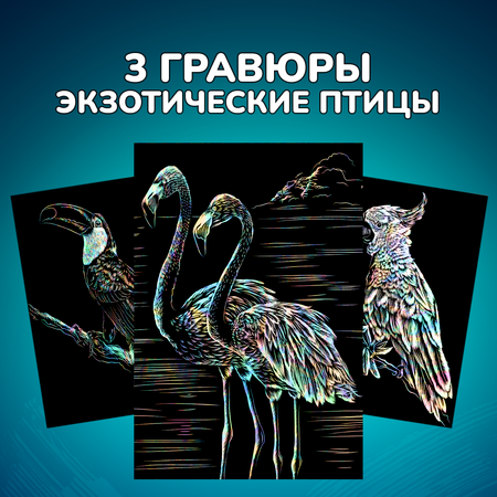Набор для творчества LORI 3 гравюры Экзотические птицы 18х24 см