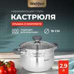 Кастрюля Wellfort 2.9Л нержавеющая сталь