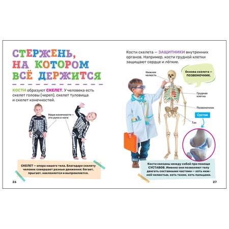 Книга Тело человека Первая энциклопедия малыша